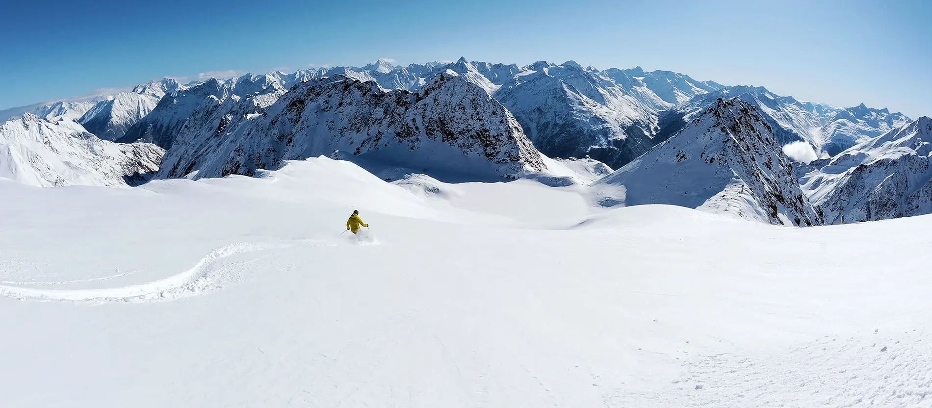Ski to be(e)!
