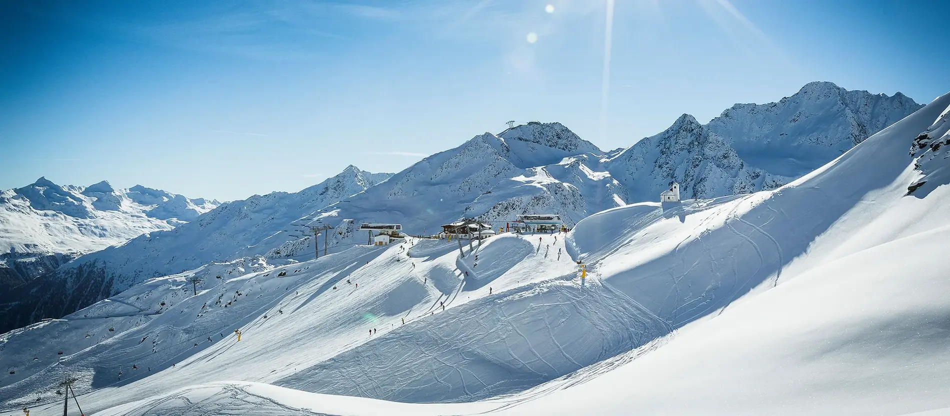 Ski to be(e)!
