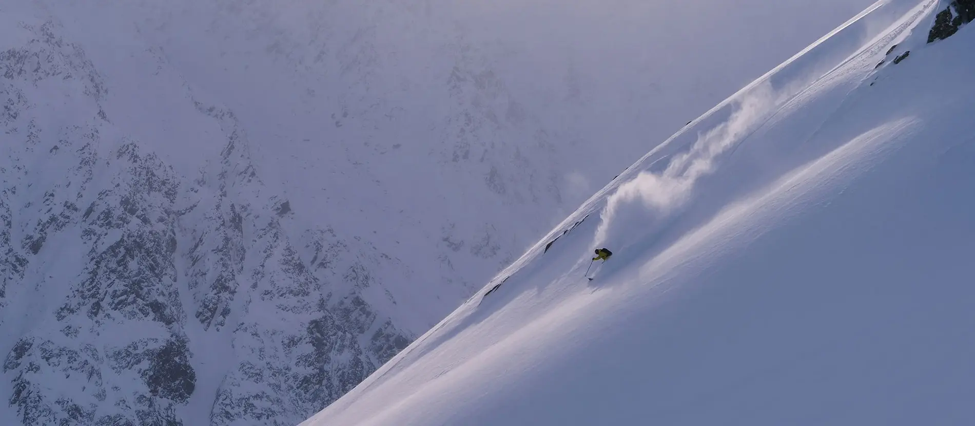 Ski to be(e)!