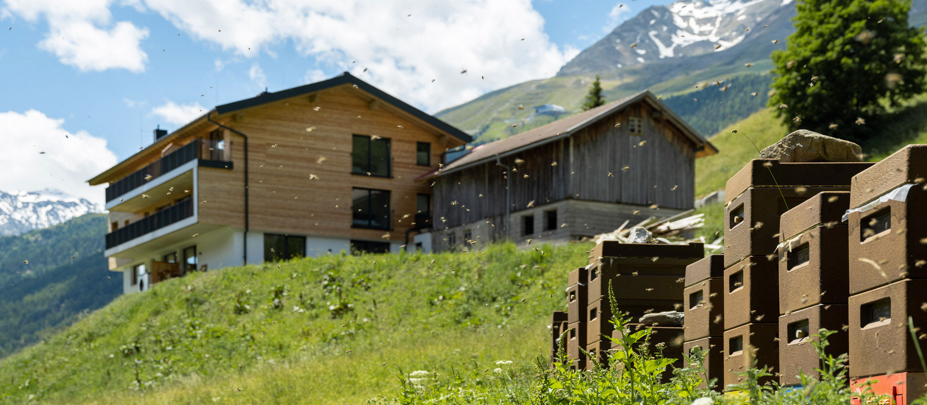 Mountain Beekeeping Anraitl